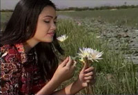 Khmer beauty.